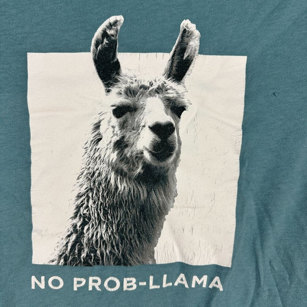 Old Navy Soft Washed Graphic Tee No Prob Llama Print Mens XXL Blue